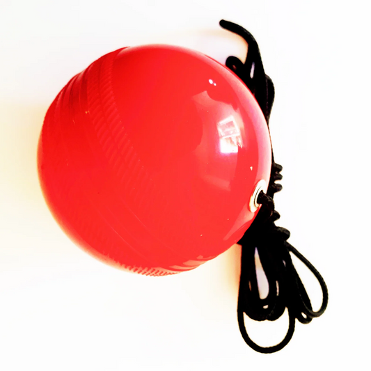 The V Soft Training Ball - Pro