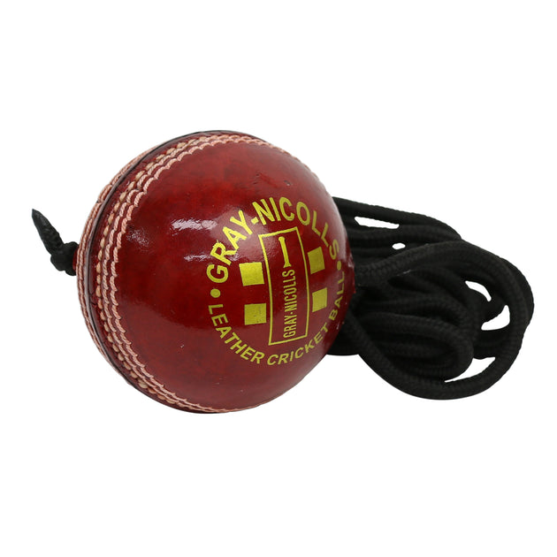 GRAYNICOLLS GN Batting Master Leather Ball Highmark Cricket