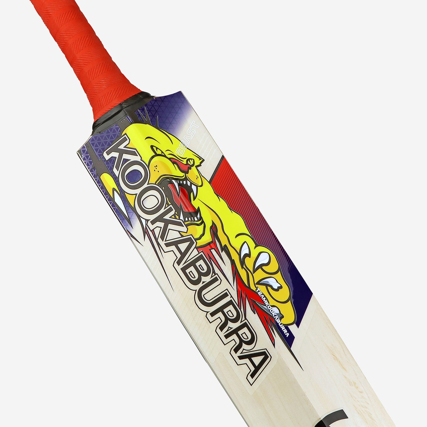 KOOKABURRA Beast Pro 2.0 Grade 3 English Willow Cricket Bat '25/26 - Small Adult