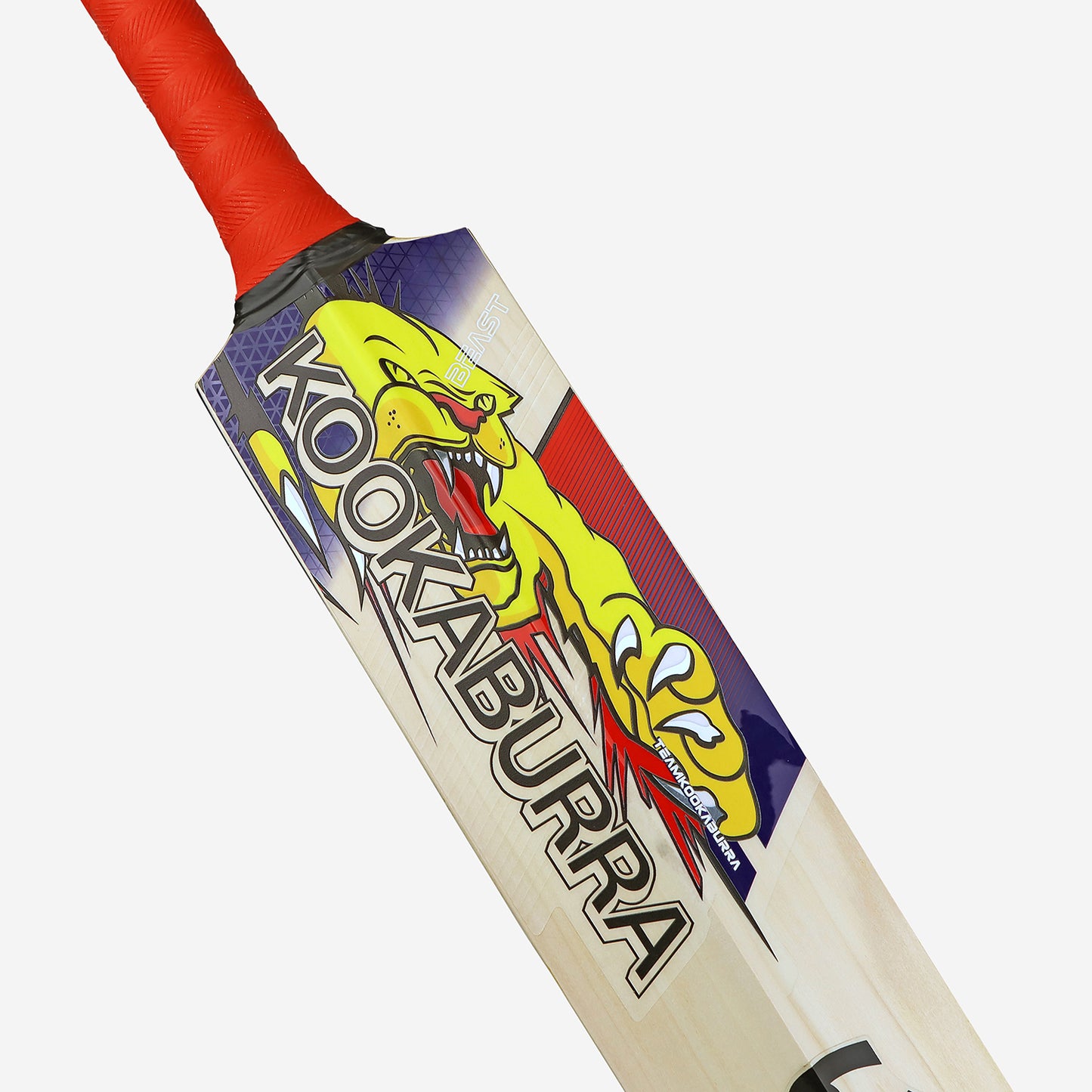 KOOKABURRA Beast Pro 4.0 Grade 5 English Willow Cricket Bat '25/26 - Short Handle