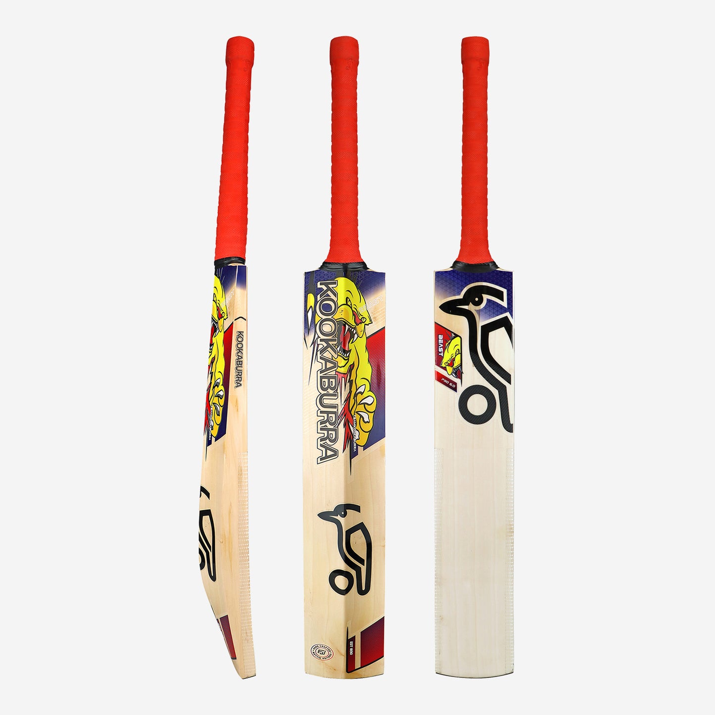 KOOKABURRA Beast Pro 6.0 Grade 6 English Willow Cricket Bat '25/26 - Short Handle