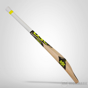 DSC Condor Atmos Grade 4 EW Cricket Bat - Highmark Cricket