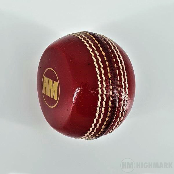 HM Aggot Practice Leather Ball - Highmark Cricket