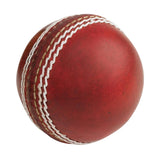 GRAY-NICOLLS GN Autograph Ball Mini Red (Unlabelled)