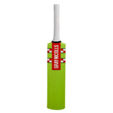GRAY-NICOLLS GN Super Cloud Catcher Bat
