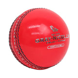GRAY-NICOLLS GN Crest Special 2-piece Leather Cricket Ball