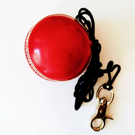 The V 142gm Red Cricket Ball - Pro