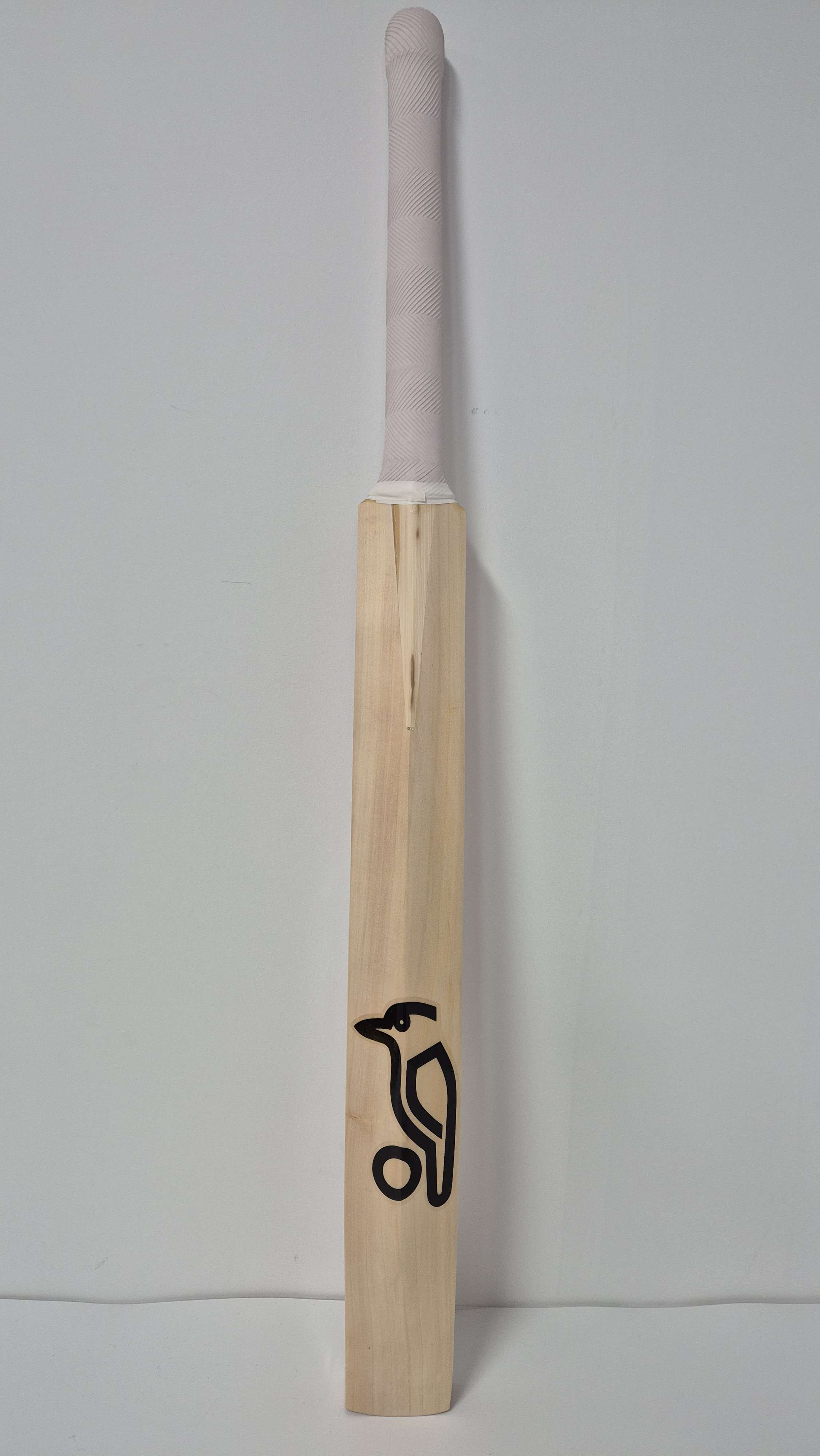 KOOKABURRA Kashmir Willow Technique Cricket Bat - Adult