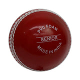 GRAY-NICOLLS GN Wonderball Cricket Ball