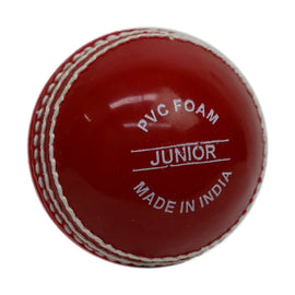 GRAY-NICOLLS GN Wonderball Cricket Ball