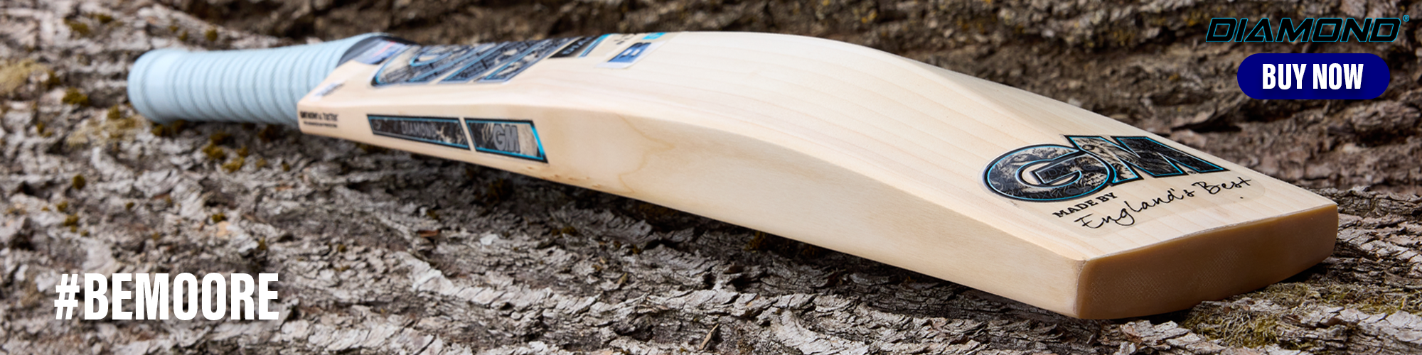 Highmark Cricket