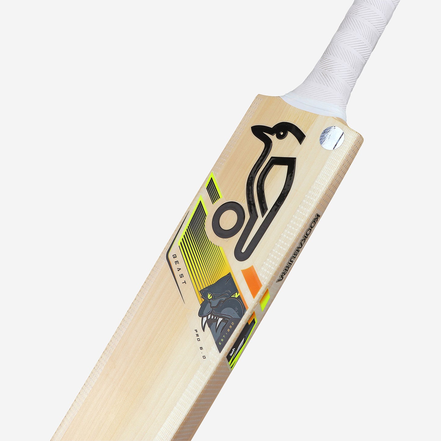 >> KOOKABURRA Beast Pro 6.0 Grade 6 English Willow Cricket Bat '23/24 - Short Handle