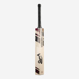 KOOKABURRA Indigenous Kahuna Pro 2.0 Grade 3 English Willow Cricket Bat '24 - Short Handle