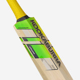 KOOKABURRA Big Kahuna Grade 4 English Willow Cricket Bat '24/25 - Short Handle