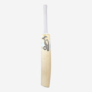 KOOKABURRA Ghost Pro 4.0 Grade 5 English Willow Cricket Bat '24 - Short Handle