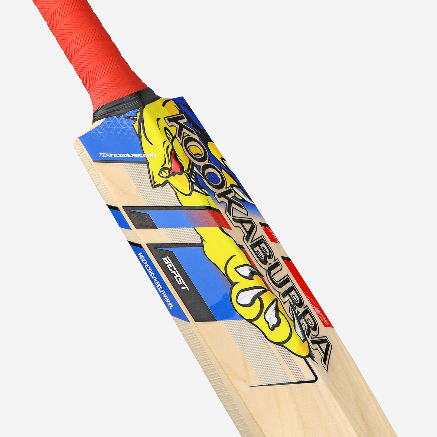 KOOKABURRA Beast Pro 6.0 Grade 6 English Willow Cricket Bat '24 - Short Handle