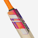 KOOKABURRA Aura Pro 4.0 Grade 5 English Willow Cricket Bat '24/25 [Sizes 5 - Harrow]