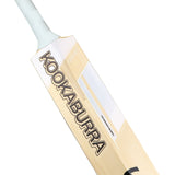 KOOKABURRA Ghost Players Replica Marnus Labuschagne English Willow Cricket Bat '25/26 - Small Adult
