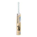 KOOKABURRA Ghost Players Replica Marnus Labuschagne English Willow Cricket Bat '25/26 - Small Adult