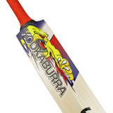 KOOKABURRA Beast Pro Players Grade 1 English Willow Cricket Bat '25/26 - Short Handle