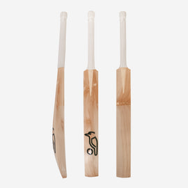 KOOKABURRA English Willow Technique Cricket Bat - Short Handle