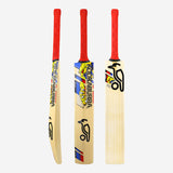 KOOKABURRA Beast Pro 9.0 Kashmir Willow Junior Cricket Bat '24/25 [Sizes 1 - Harrow]