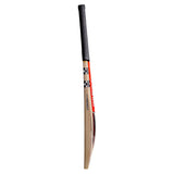 GRAY-NICOLLS GN Vector 950 Play Now English Willow Cricket Bat '26/27 [Sizes 4 - Youth]