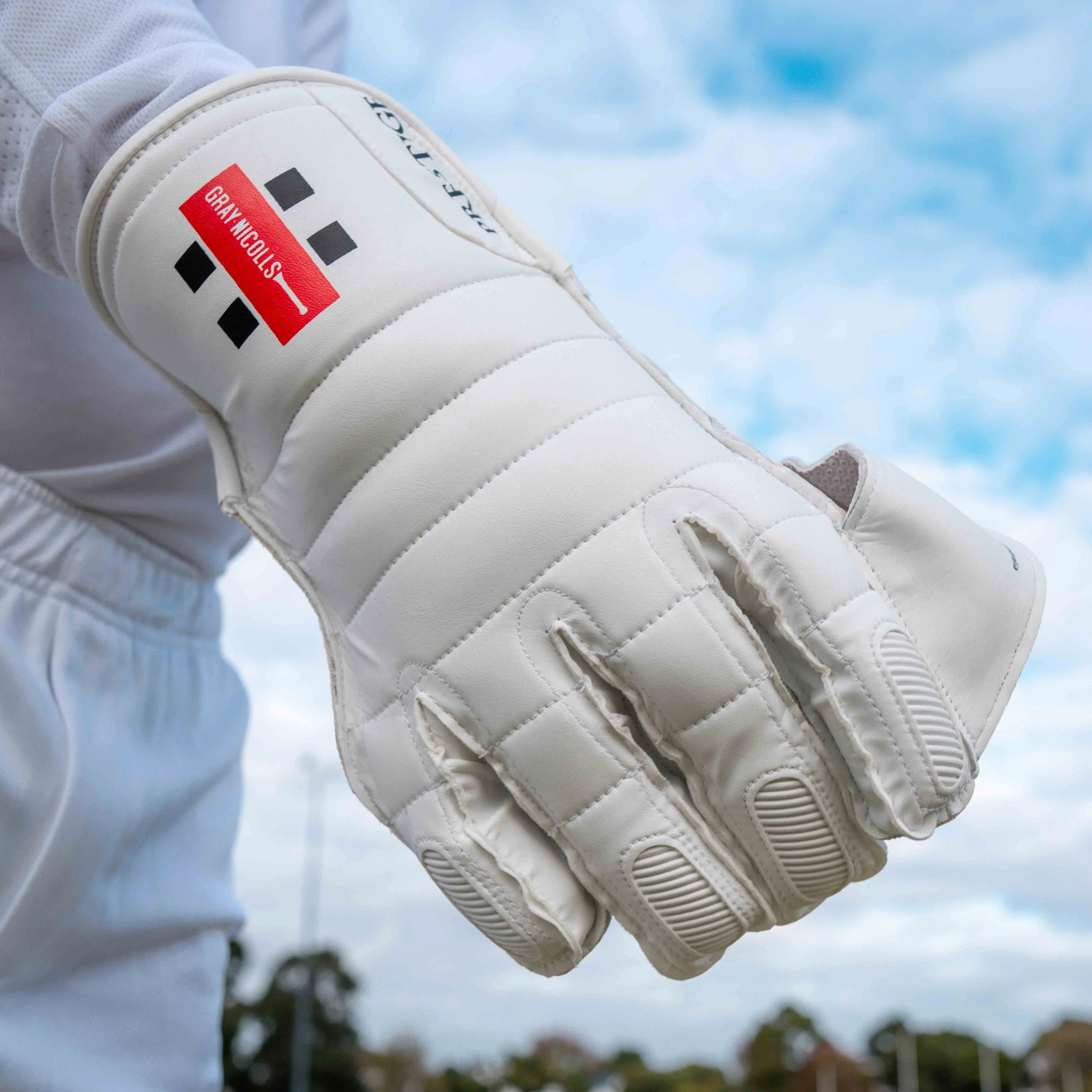 GRAY-NICOLLS GN Prestige Wicket Keeping Gloves '26/27