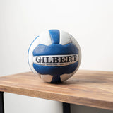 GILBERT Spectra T500 Low Vision Netball (with bell) - Size 5