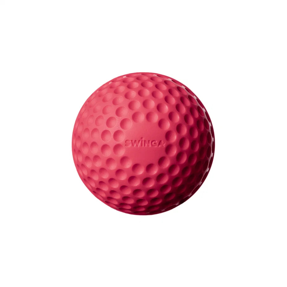 SWINGA Technique Ball 156gms