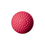 SWINGA Technique Ball 156gms