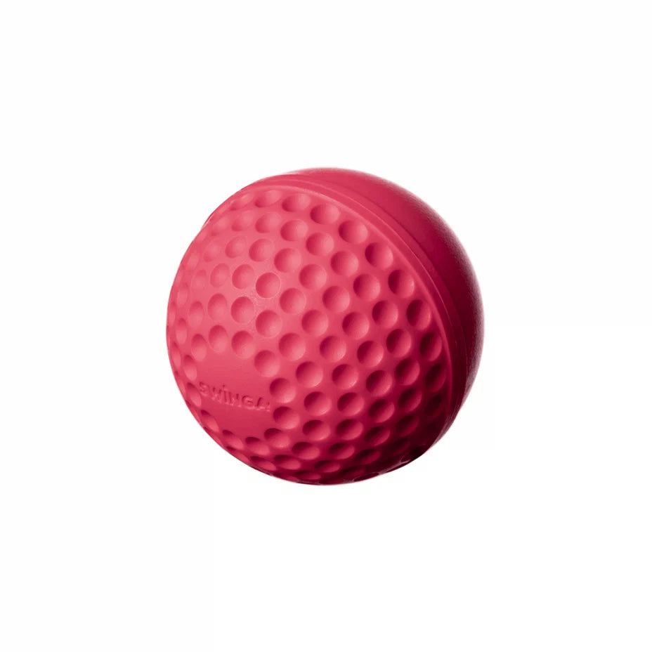 SWINGA Technique Ball 156gms