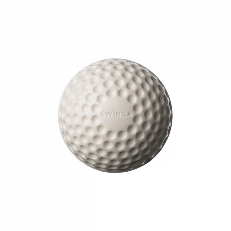 SWINGA Technique Ball 156gms