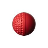 SWINGA Technique Ball 156gms