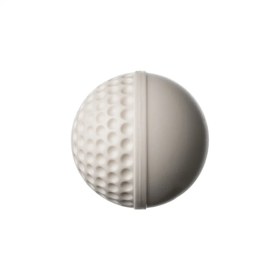 SWINGA Technique Ball 156gms