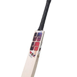 SS Gladiator Player Grade English Willow Cricket Bat '26/27 - Adult