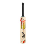 KOOKABURRA Diablo Pro 3.0 English Willow Cricket Bat '26/27 - Small Adult