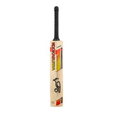 KOOKABURRA Diablo Pro 7.0 English Willow Cricket Bat '26/27 - Adult