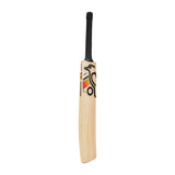 KOOKABURRA Diablo Pro 8.1 Kashmir Willow Cricket Bat '26/27