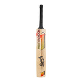 KOOKABURRA Diablo Pro 8.1 Kashmir Willow Cricket Bat '26/27