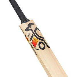 KOOKABURRA Diablo Pro 8.1 Kashmir Willow Cricket Bat '26/27