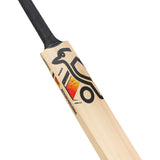 KOOKABURRA Diablo Pro 8.1 Kashmir Willow Cricket Bat '26/27