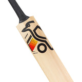 KOOKABURRA Diablo Pro 8.1 Kashmir Willow Cricket Bat '26/27