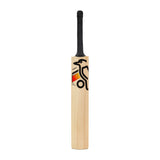KOOKABURRA Diablo Pro 8.1 Kashmir Willow Cricket Bat '26/27