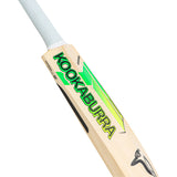 KOOKABURRA Big Kahuna English Willow Cricket Bat '26/27 - Adult