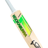 KOOKABURRA Big Kahuna English Willow Cricket Bat '26/27 - Adult