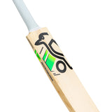 KOOKABURRA Big Kahuna English Willow Cricket Bat '26/27 - Adult
