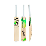 KOOKABURRA Big Kahuna English Willow Cricket Bat '26/27 - Adult