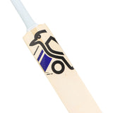 KOOKABURRA Monarch Pro 1.0 English Willow Cricket Bat '26/27 - Adult