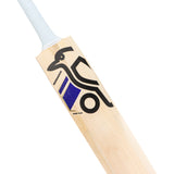 KOOKABURRA Monarch Pro 6.0 Hybrid English Willow Cricket Bat '26/27 - Adult